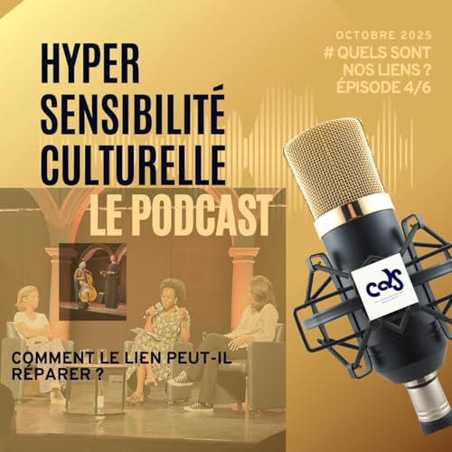 Page de couverture de Comment le lien peut-il réparer ?