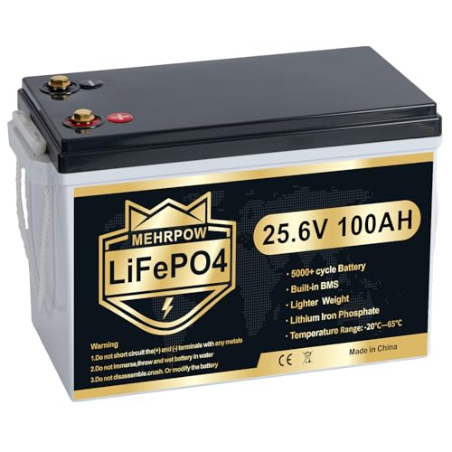 24V 100Ah LiFePO4 Lithiumbatterie mit über 15.000 Zyklen eingebautem 100A BMS inkl. Tiefentladeschutz. Ideal für Wohnmobile Boote Außenborder und solare Off-Grid-Anwendungen.