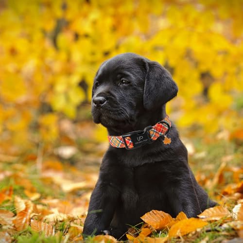 Image of Autumn Plaid Dog Collar - Adjustable Orange Tartan Dog Collar with Fall Leaf Charm, Cozy Fall Vibes Orange Yellow Grid Puppy Collars for Small /Medium /Large Dogs
