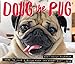 Doug the Pug 2021 Box Calendar (Dog Breed Calendar)