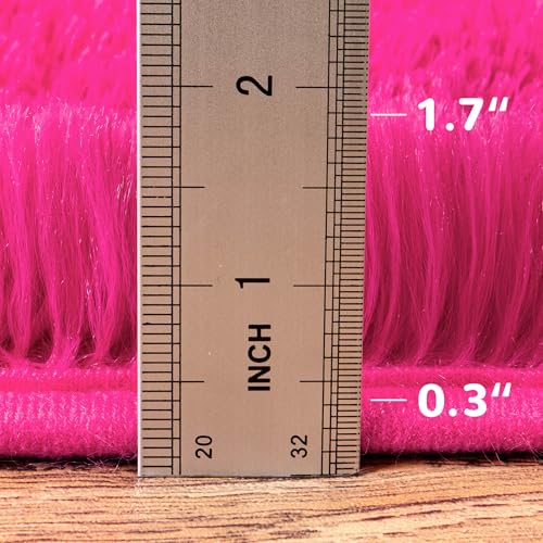 Fluffy Rug Stain Resistant 3x5 Feet, Hot Pink Cute Rugs for Bedroom Aesthetic, Modern Plush Area Rugs for Bedroom