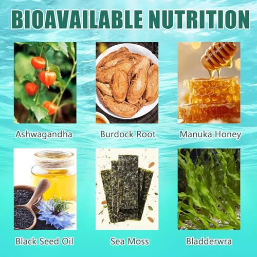 Sea Moss Gummies 16-in-1 | Irish Seamoss Gummies for Women Men with Black Seed Oil & Ashwagandha & Burdock & Bladderwrack | Boosts Immune Support, Skin Health and Digestion | 30 Gummies - Image 4