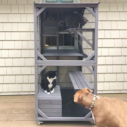 GUTINNEEN Cat House Mobile Catio for Outdoor Enclosure with Waterproof Roof Feral Cat Cage On Wheels,Bird Cage with Upgraded Resting Box,70.9'