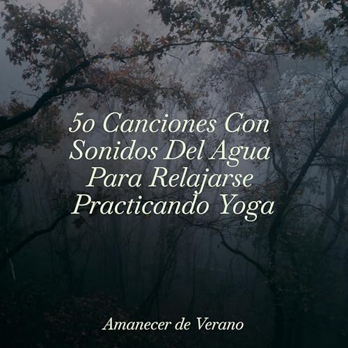 Canciones de Cuna Veladas