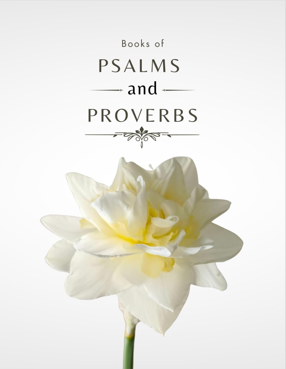 KJV Psalms and Proverbs: Wide Margin Journaling Edition with Single-Column Layout and Meditation Space