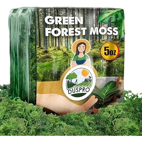 DUSPRO Green Moss for Craft Projects Cover