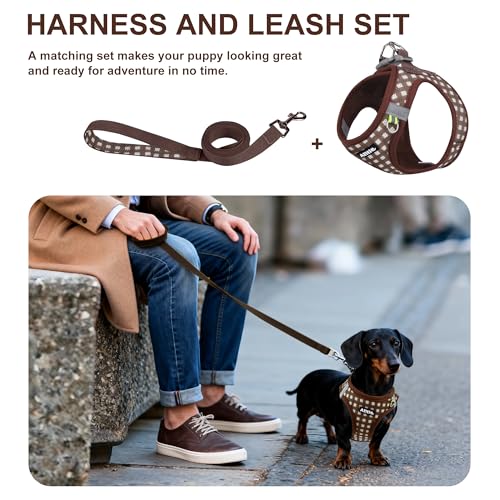 AIITLE Verstellbares Hundegeschirr und Leinen-Set, weiches Netzgewebe, reflektierendes Karomuster, Welpen und Hauskatzen, zum Spazierengehen und Laufen im Freien, Schokolade, XS
