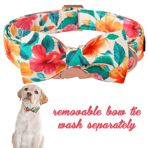 Unique style paws Dog Collar, Colorful Flower Dog Collar - Image 3
