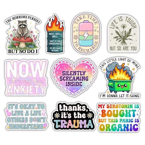 BAVAHA (3in) Funny Mental Health Stickers Bulk Dumpster Fire Raccoon Meme Decal Anxiety Sticker Motivation Gift Vinyl Waterproof Decal For Car Window Laptop Helmet Kindle Water Bottle Hard Hat Tumbler