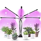 🌱 [Pflanzenlicht mit Größerem Beleuchtungsbereich] Das Pflanzenlampe mit 5 Köpfen besteht aus 150 LEDs, die das LED Pflanzenleuchte schneller fördern und einen größeren Lichtbereich als herkömmliche Pflanzenlichter bieten können. Der Lichtabdeckungsbereich mit einem Lampenkopf beträgt ungefähr 70-80cm, je nachdem, wie hoch Sie den Lampenkopf richten. Auf diese Weise können Sie mehr Pflanzen anbauen.