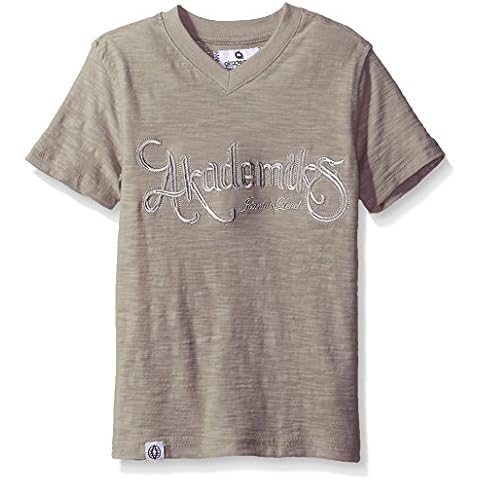 Akademiks Kids Boys' Toddler Short Sleeve Slub Jersey V-Neck Tee, Grey, 2T Cover