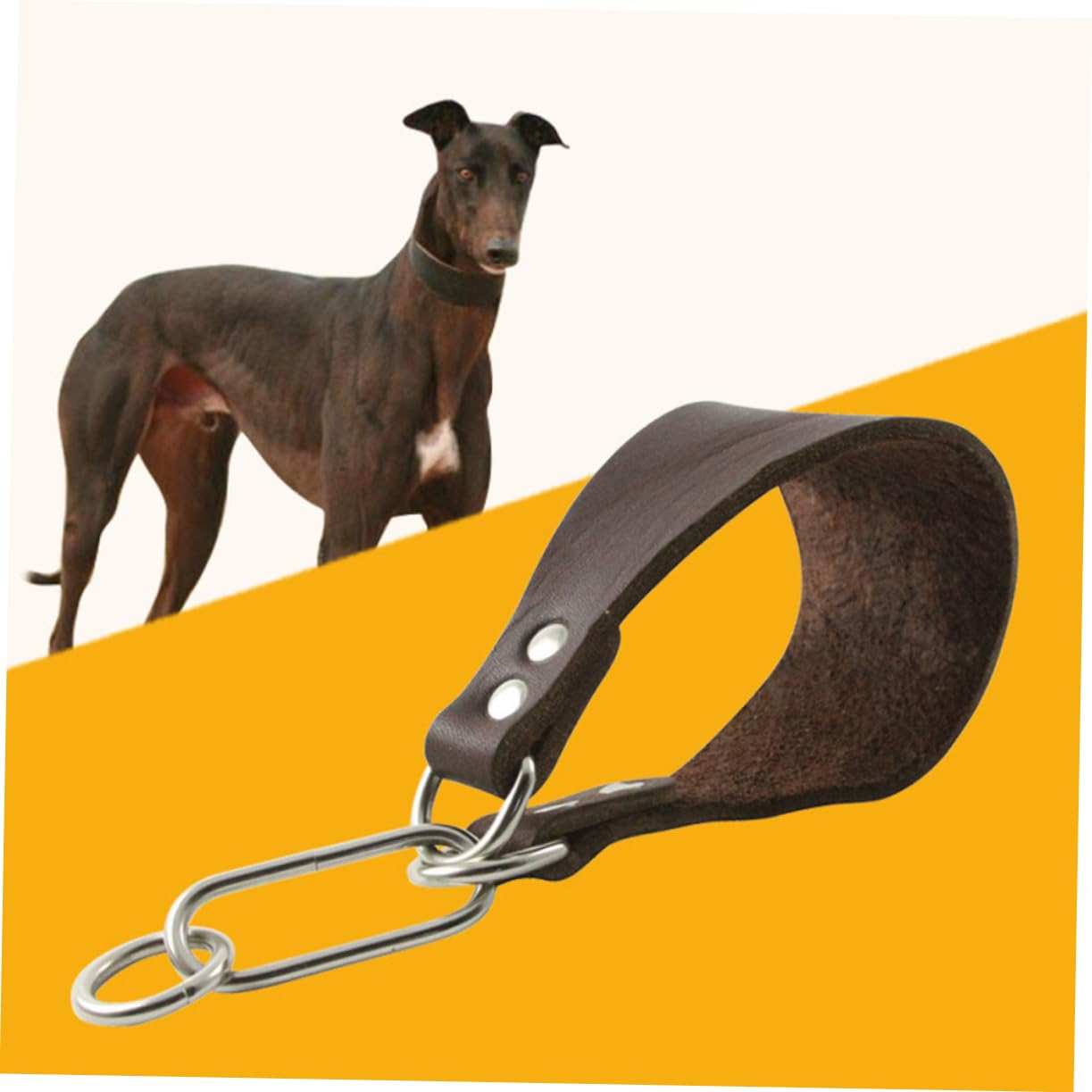 SUPVOX 3pezzi Collare Per Cani Di Cattlehide Collo Resistente e Duraturo Accessorio Elegante Per Cani Con Collo Sottile Colore Caffè