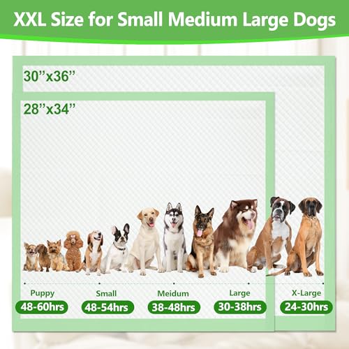 Image of Gimars XL 6-Layer Ultra Absorbent 1200ml 48-Hour Leak-Proof Dog Pee Pads, Quick Dry Extra Large Puppy Pads for Puppy Training, Senior & Incontinent Dogs, Cats, Overnight Use, 30 inchx36 inch, 30 Count Green