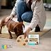 P.J Pet Products K9 IQ Spiel Columbo, Einheitsgröße, Columbo, Columbo, Holzbraun, 0,4 kg
