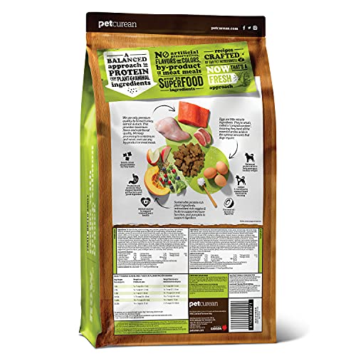 Now Fresh Grain Free Small Breed Dog Food, 6 lb - Dry Dog Food Adult Recipe - Healthy Diet with PROBIOTICS & Real Meat & Fish for Protein