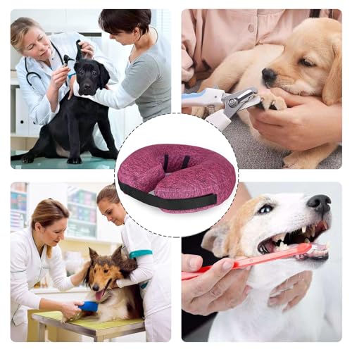Image of MIDOG Inflatable Dog Cone, Soft Donut Recovery Collar Alternative After Surgery to Help Prevent Licking, Comfy E Collar with Neck Pillow Design, Rose, XS