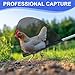Viscogrip Chicken Catching Net 2 Pcs, Chicken Net for Chicken Supplies, Stainless Steel Poultry Catcher for Catching Small Chicken, Goose, Ducks, Fish, Birds(2 Nets, 1 Pole Included