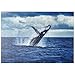 Megattera Che Salta Fuori Dall'acqua In Australia - Premium 200 Pezzi Puzzle - MyPuzzle Collezione speciale di Puzzle Galaxy