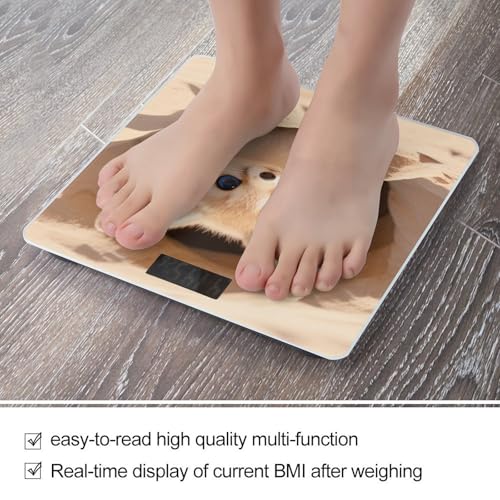Báscula digital para baño con precisión 400 lb miniatura 5
