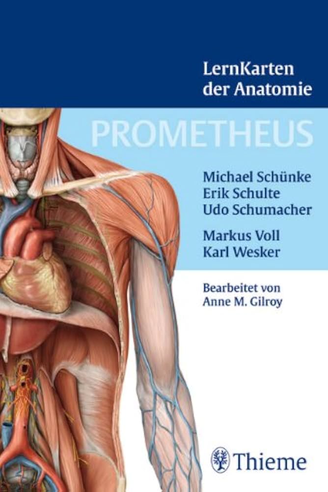 Amazon.com: Prometheus Lernkarten der Anatomie