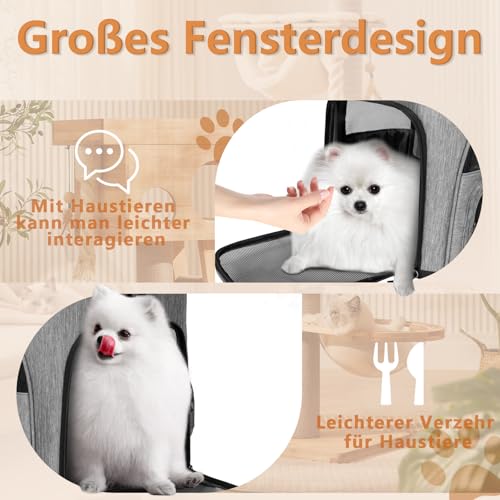OUUTMEE Haustier-Rucksack für kleine Hunde Hundetragetasche erweiterbares faltbares Netzfenster Geeignet für Kurze Reisen Tragfähigkeit 10 kg Grau