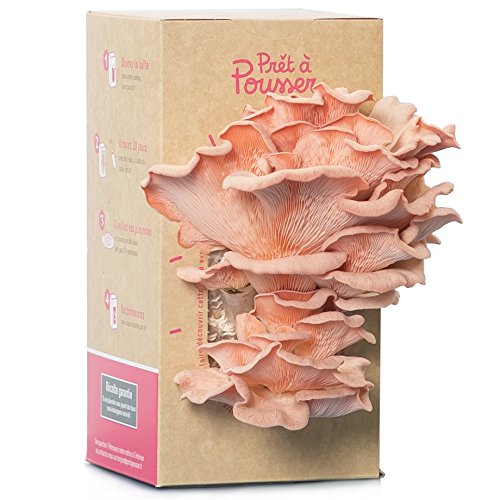 Kit Panier Gourmand Pas cher