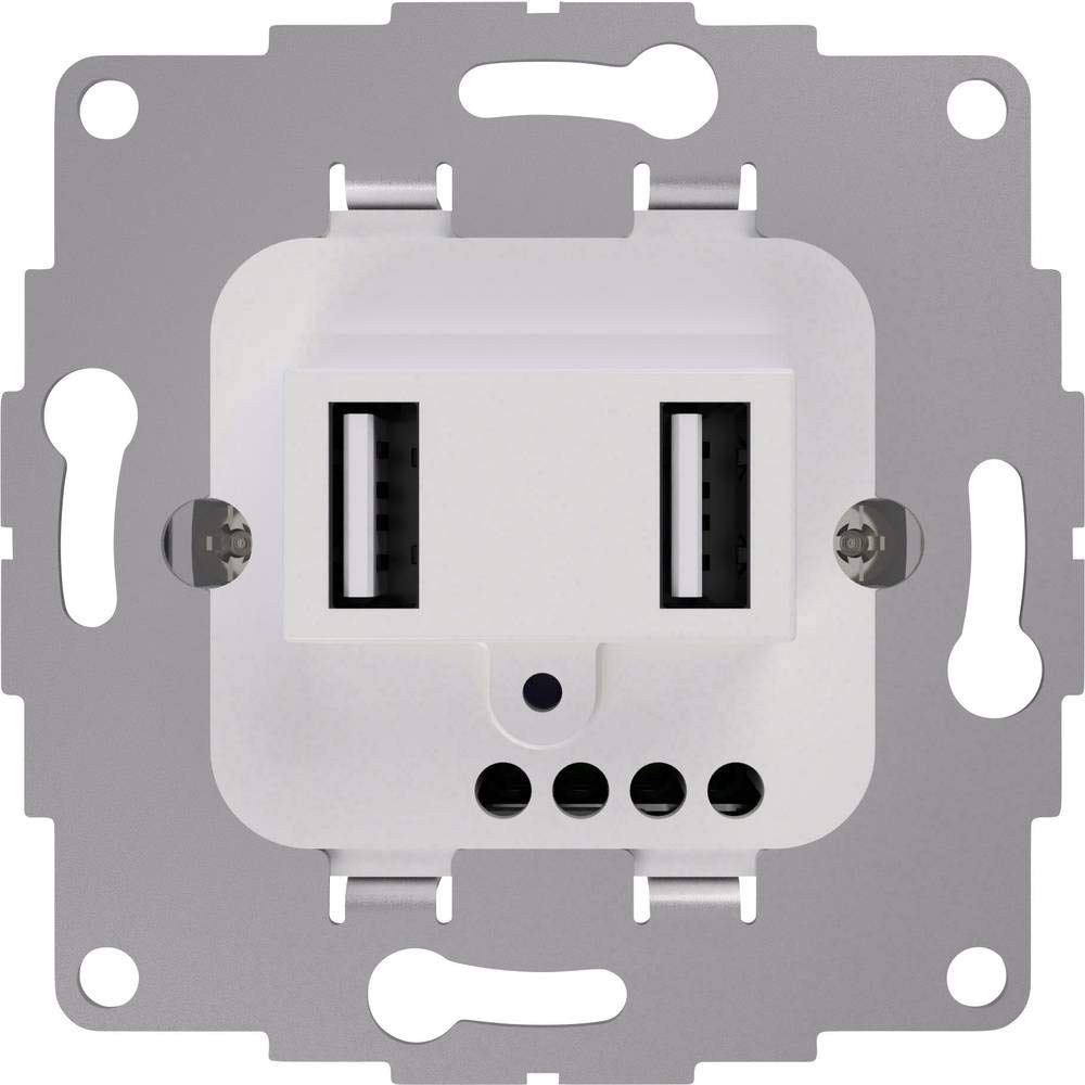 2USB 2U-449474 simple Montage encastré IP20 gris clair