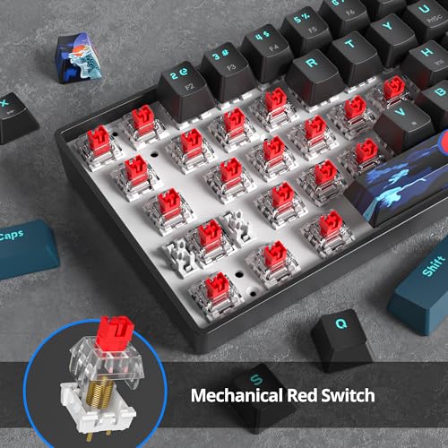 Image of 60 Percent Gaming Keyboard 61 Keys Portable Mechanical Keyboard Rainbow Backlit Ultra Compact Wired Keyboard Red Switch for PC Laptop Gamer(61 Monster-B)