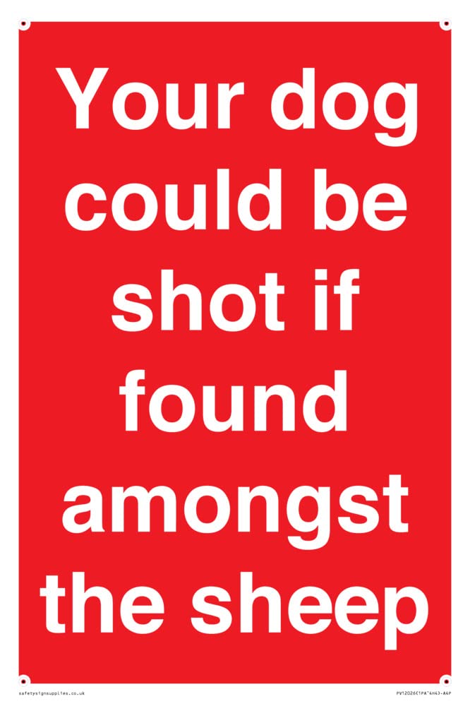 Your dog could be shot if found amongst the sheep Sign - 200x300mm - A4P
