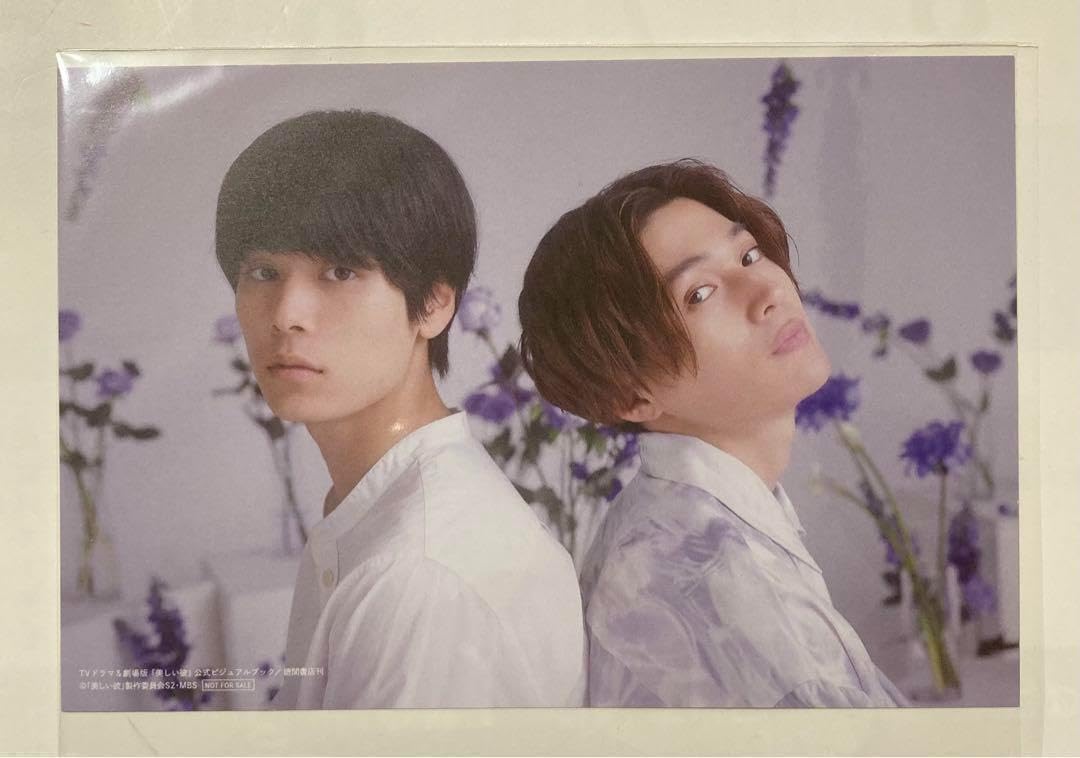 Amazon.co.jp: 美しい彼 萩原利久 公式ビジュアルブック 特典 生写真 