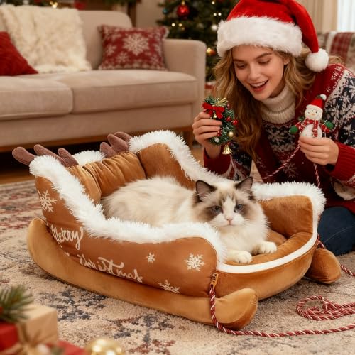 Riaisttd Kleines Hundebett | Rutschfestes Sofa mit Zugseil, niedliches Schlittenhaus mit Zugseil, für kleine Haustiere und Innen- und Außenbereiche, Wohnzimmer, Balkon-3