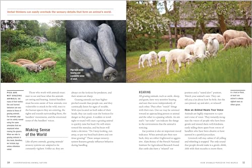 Storey Publishing, Llc Grandin Phd, Temple Temple Grandin'S Guide To Working With Farm Animals: Safe thumb #2