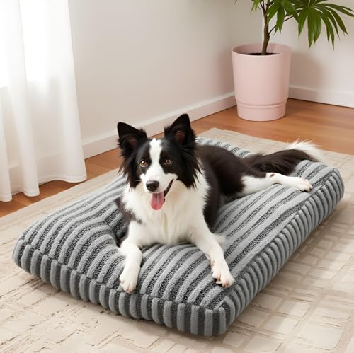 Pawk hundebet Grosse Hunde, XL Hundekissen Waschbar Abnehmbar, Hundekorb Flauschig Atmungsaktiv Anti-Rutsch, Hundebetten für Mittelgroße und Grosse Hunde, 107x69x10cm