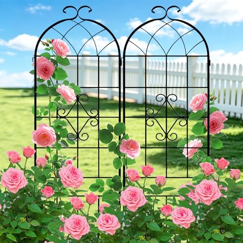 Image of LZRS 2 Pack 78.7x20in Rustic Iron Arch Decoration Garden Trellis with Black Metal Coating - Perfect for Supporting Climbing Plants Outdoor, Roses, Vines, Flowers, and Vegetables.