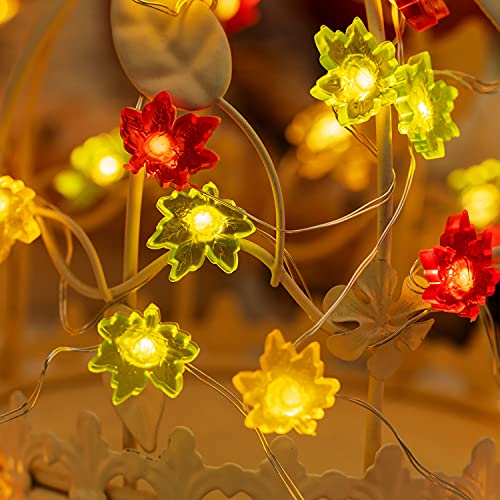 Bohon Thanksgiving Decorations Maple Leaves Fairy String Lights With Remote 10Ft 40Leds Battery Operated String Lights For Bedroom Fall Autumn Festival Halloween Thanksgiving Harvest Decor #TOP2