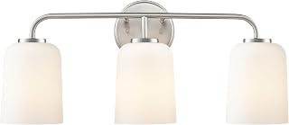 ML Lighting 214203-BN Laphia 22" Wide 3-Light Vanity - Brushed Nickel