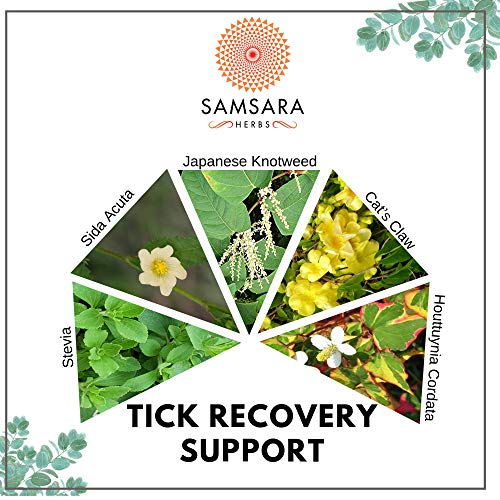 Samsara Herbs Tick Recovery Herbal Powder Formula (8Oz/227G) - Japanese Knotweed, Cat's Claw, Sida Acuta, Houttuynia Cordata, Stevia #TOP4