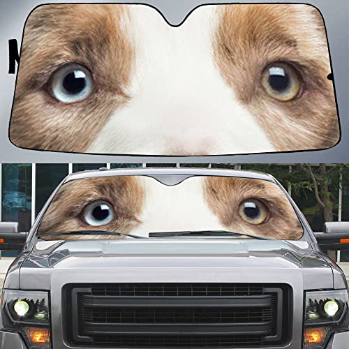 Couverture pare-brise pliable Border Collie L pour SUV et voiture