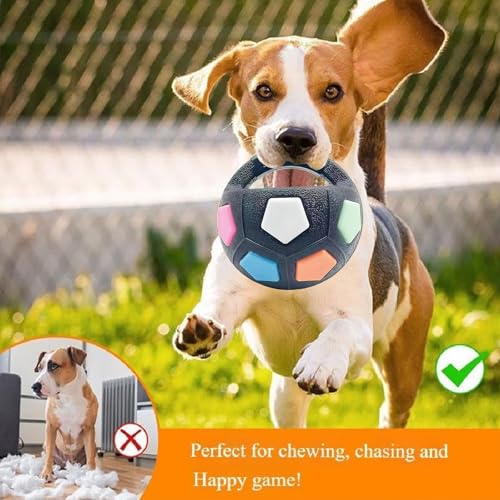 Generisch Groß Hundeball Unzerstörbar mit Handle,The Mellow Dog Calming Ball,Interaktives Hundespielzeug,Hundetrainingsspielzeug,Geeignet für Große und Kleine Hunde (Schwarz)