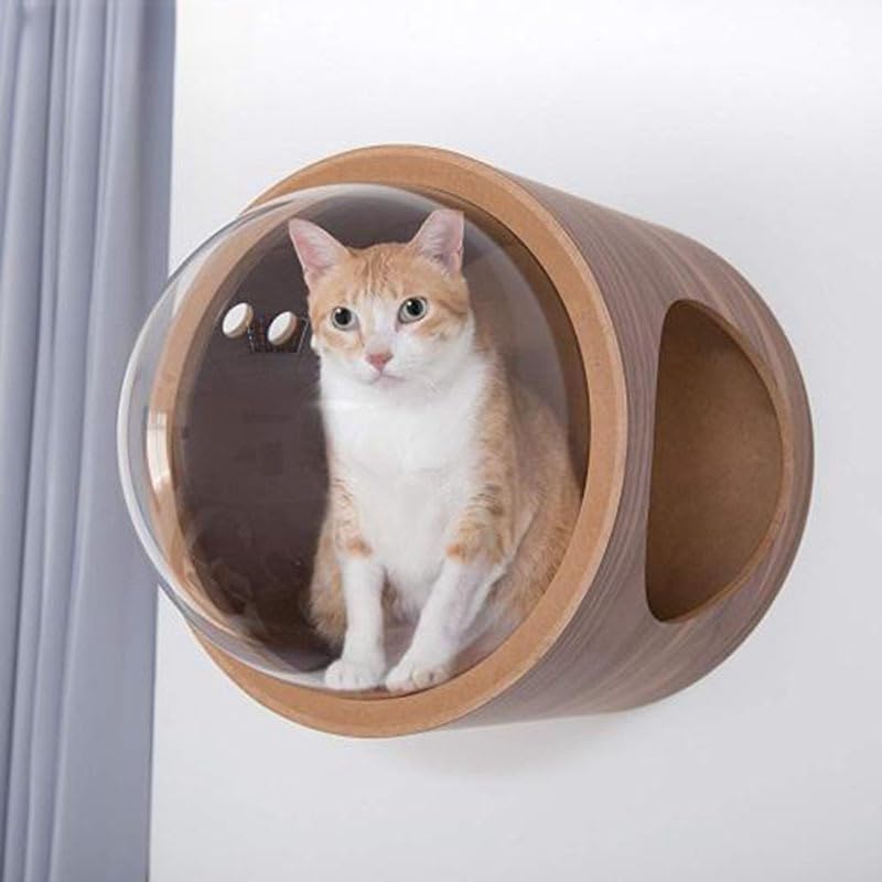 Amazon | 壁掛けカプセル猫の巣、完全密閉壁、透明カバー、猫宇宙