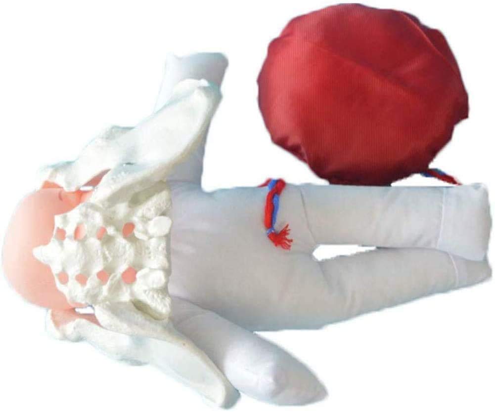 Geboorte Simulatie Pakket; De Ultieme Geboortesimulator Voor Realistische Training
