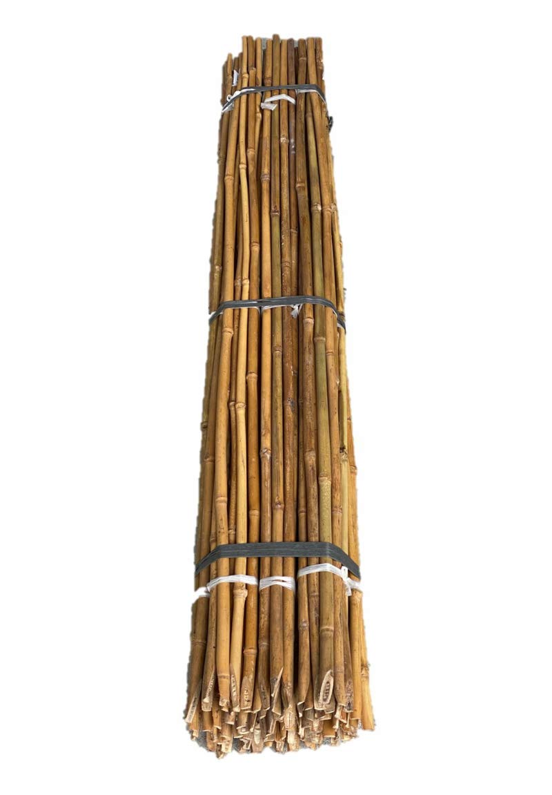 女竹　篠竹　燻竹３本セット　B medake6shaku.jpg