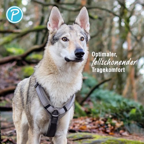 Petlando Hundegeschirr mittelgroße Hunde, weich gepolstert mit Mesh, Y-Comfort Anthrazit M (Halsumfang 46-74 cm, Brustumfang 50-74 cm), Hunde Geschirr mittel