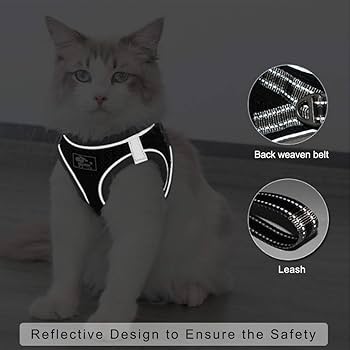 FEimaX Dog Harness And Leash Set, No Pull Adjustable Puppy Harness With Reflective Strip, Escape Proof Kitten Step-in Vest Fit Small Dogs Cats