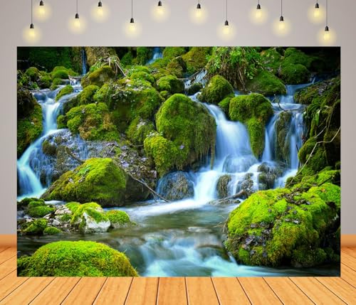 Arrière-plan photographique cascade ruisseau clair paysage forestier