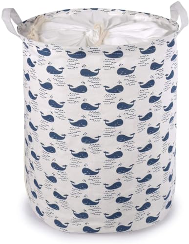 MAXNVYN�����h���[�o�X�P�b�g ���󂩂� �܂��� �В� �������H �Ȗ��� (�N�W��-)�I�݂Ŗ��͓I