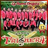 banda triguera