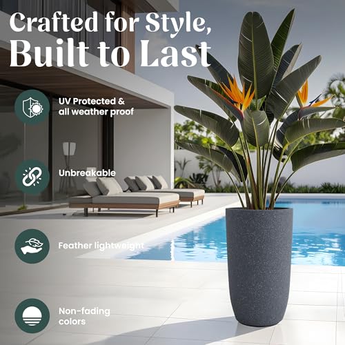 Image of YUCCABE ITALIA FOXB TPC 30 INCH Pots for Plants Highly Durable Polymers Lightweight Indoor Outdoor Plant Pots, Flower Pot Gamla Tree Planter Container Planters for Living Room, Balcony, Garden