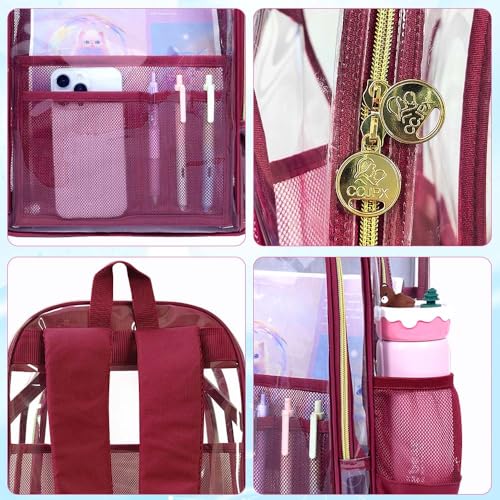 Image of AGSDON Clear Backpack, Heavy Duty Transparent Bookbag, See Through PVC Backpacks for Women Men