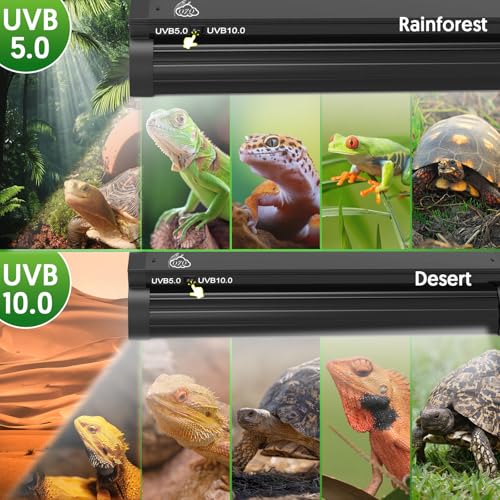 Image of QZQ T5 UVB Reptile Light Fixture Combo Kit 8W, UVB Light for Reptiles with Switchable 5.0 & 10.0 UVB Output, Terrarium Hood Lamp for Bearded Dragon, Snake, Gecko, Tortoise, Lizard